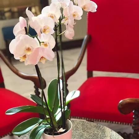 Grand D'espagne Lourdes