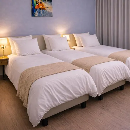 酒店 西班牙大酒店 卢德