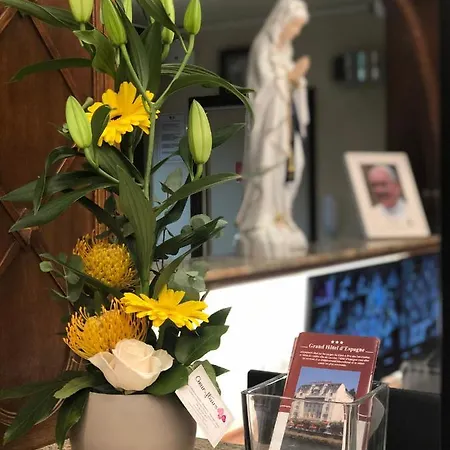 Grand D'espagne Hotel Lourdes